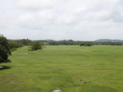 Costa del Sol Field View